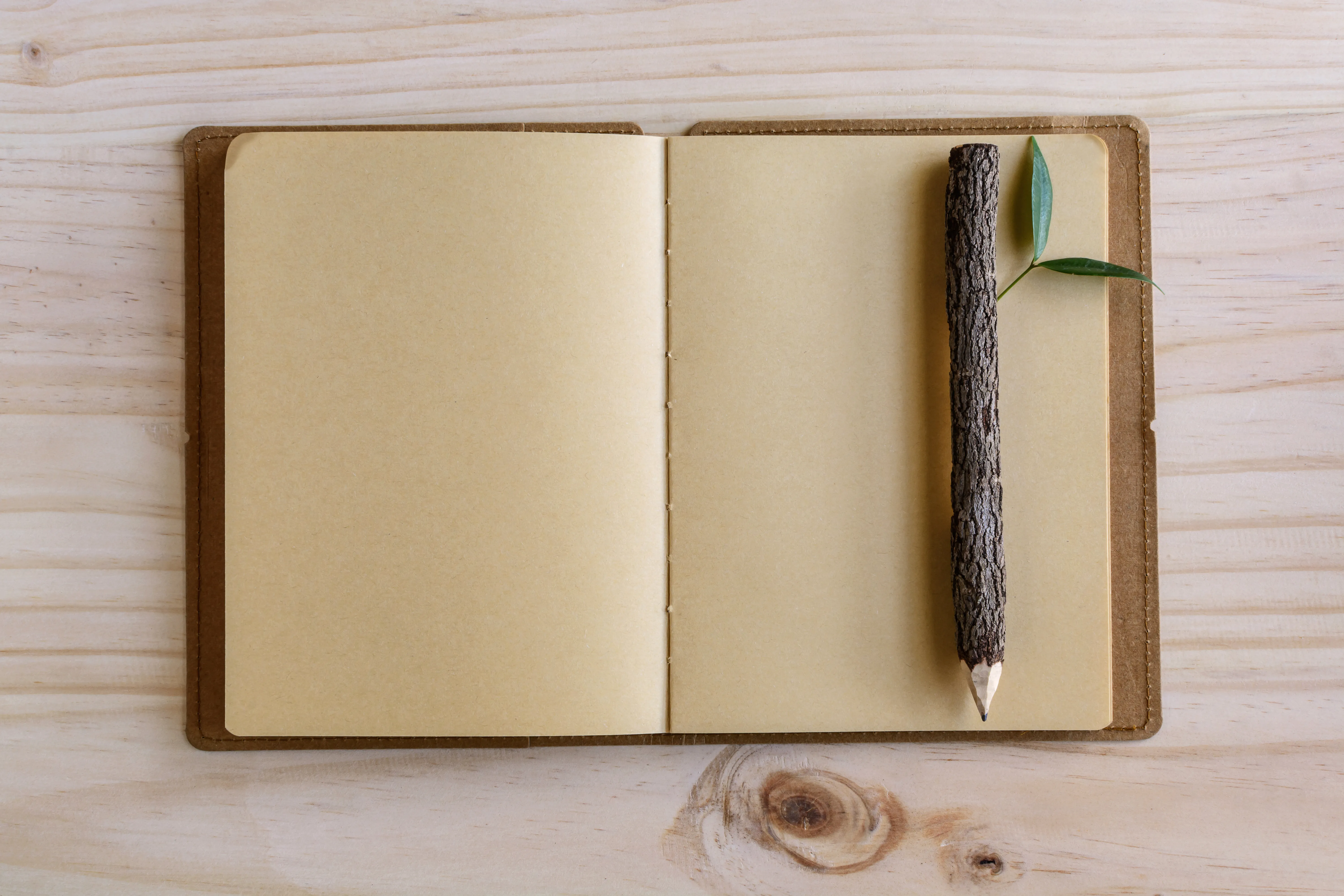 Wood Pencil and Notebook