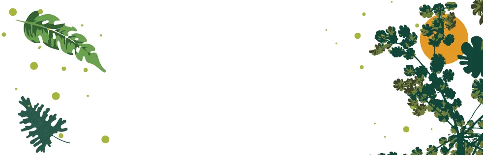 box-guest-book.png