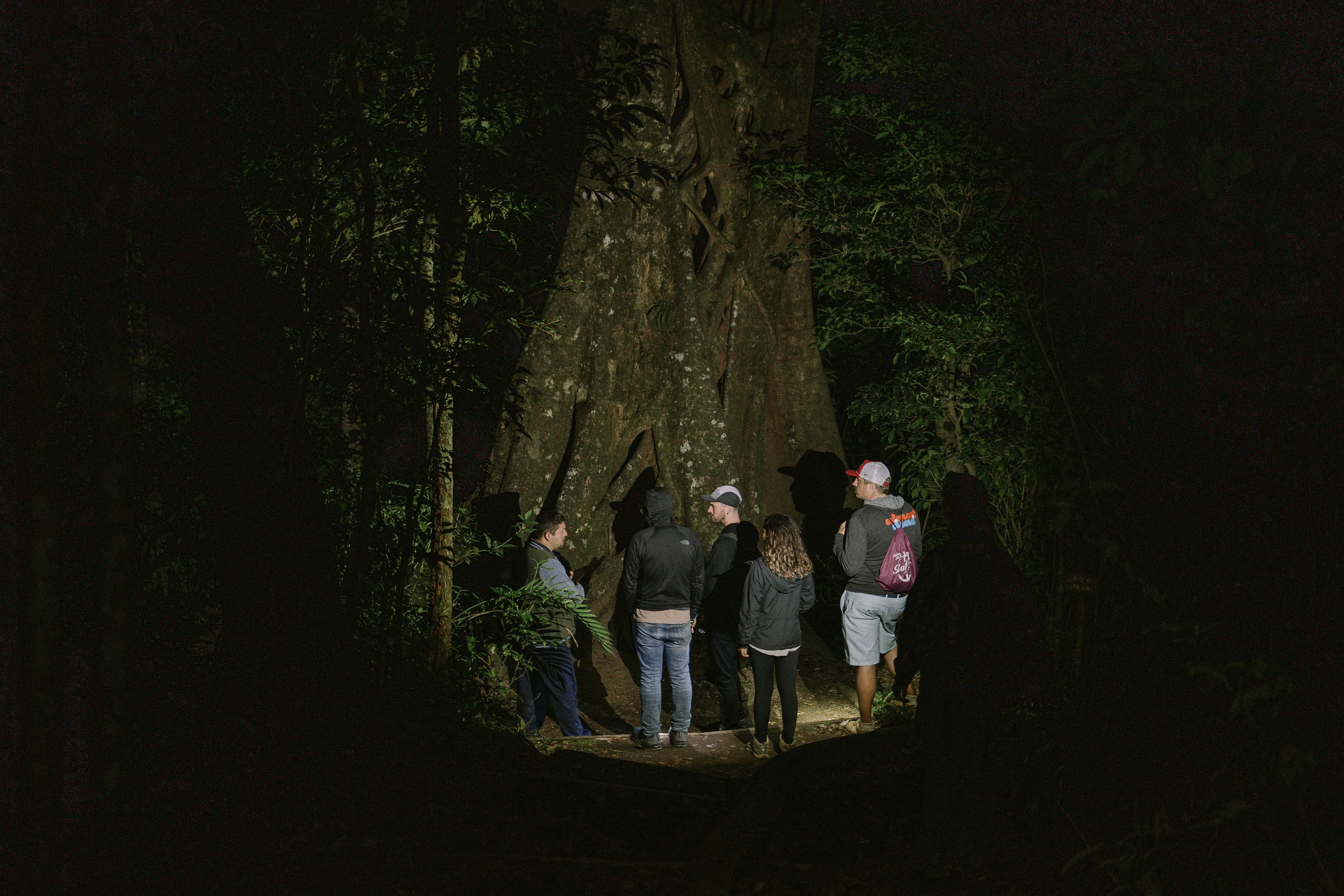 Night tour in the forest