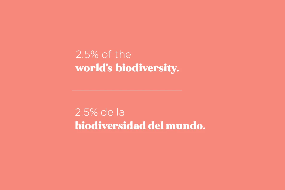 world biodiversity