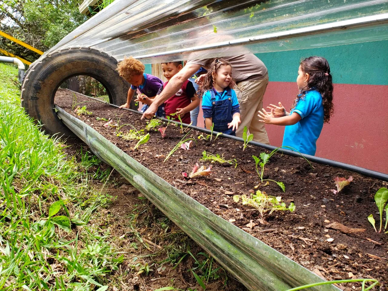 Children explore our greenhouses that are donated to schools and classrooms to learn about permaculture and regenerative practices.
