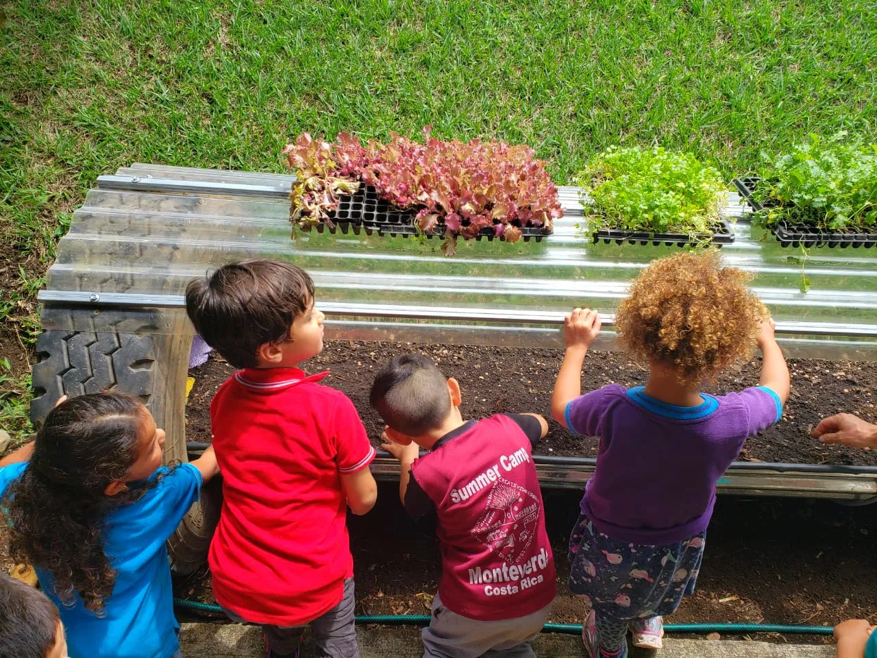 Children explore our greenhouses that are donated to schools and classrooms to learn about permaculture and regenerative practices.