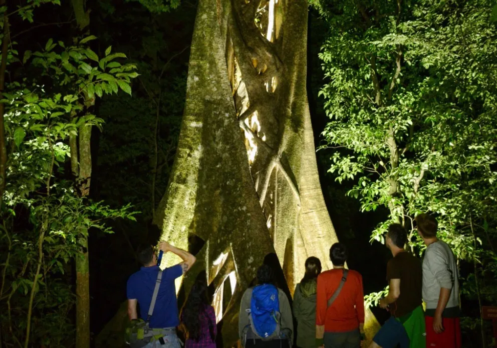 Group night tour on Valle Escondido hiking trails.
