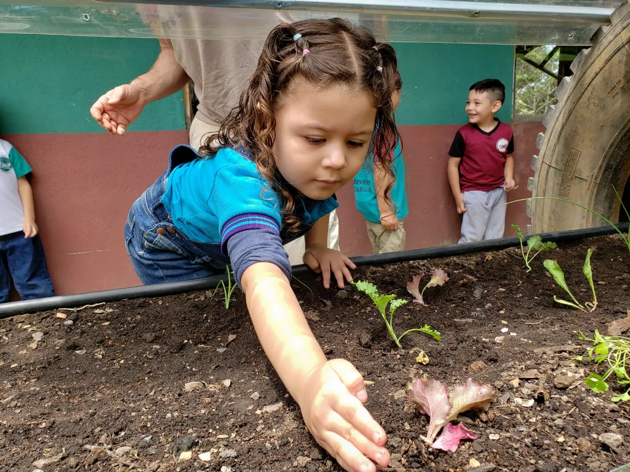A little girl explores our greenhouses that are donated to schools and classrooms to learn about permaculture and regenerative practices.