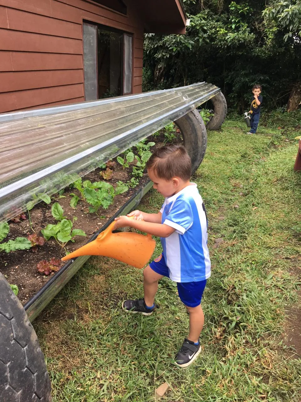 A young boy explores our greenhouses that are donated to schools and classrooms to learn about permaculture and regenerative practices.