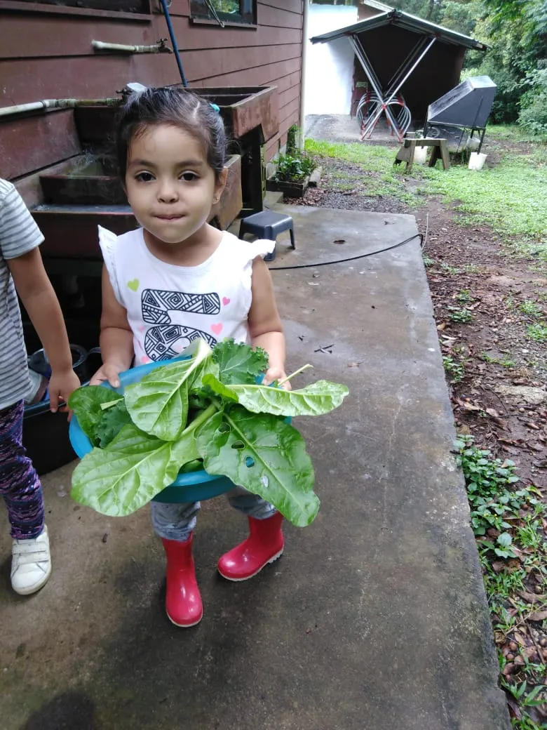 Children help harvest from their greenhouse. 